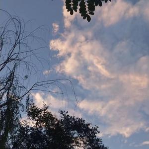 足控脚交❌❌❌视频国产
